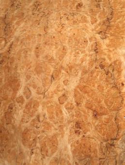 Korallen Wurzelholz Furnier Maser 106x21-28cm 2 Blätter 