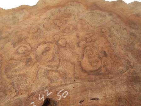 1x Nussbaum Wurzelholz Maser Baumscheibe 73x42cm x 50mm 