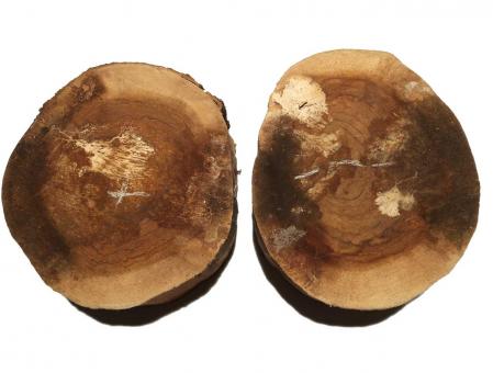 1x Olivenholz Baumscheibe 7 Jahre gelagert 29x25x10cm #R2 