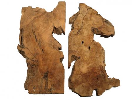 2x Oliven Wurzelholz Holz f Epoxid 40x3-20cm x 19-20mm #A9 
