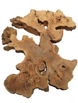 1x Oliven Wurzelholz Olivenbaum Maser Holz 63x59cm x 49-52mm 