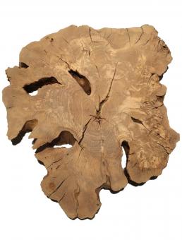 1x Oliven Wurzelholz Olivenbaum Maser Holz 62x57cm x 52mm 