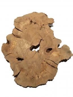 1x Oliven Wurzelholz Olivenbaum Maser Holz 60x53cm x 57mm 
