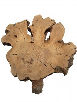 1x Oliven Wurzelholz Olivenbaum Maser Holz 60x57cm x 58-60mm 