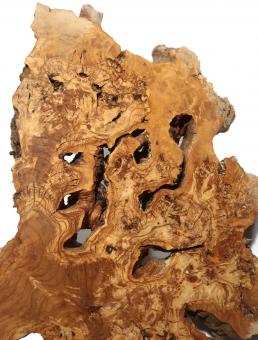 1x Oliven Wurzelholz Olivenbaum Maser Holz 81x50cm x 48-50mm 