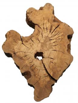 1x Oliven Wurzelholz Olivenbaum Maser Holz 52x39cm x 57-59mm 