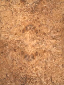 Nussbaum Wurzelholz Furnier Maser 21x18-20cm 11 Blätter 