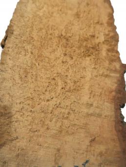 1x Birke Maser Holz Maserbirke Abschnitt 73x8-23cm x 35mm 