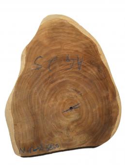 1x Teak wilde Baumscheibe Teakholz Hirnholz 42x33cm x 58-60mm 
