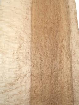 1x Vogelaugenahorn Holz Vogelaugen Tonholz 80x25,5cm x 45-46mm +++ 