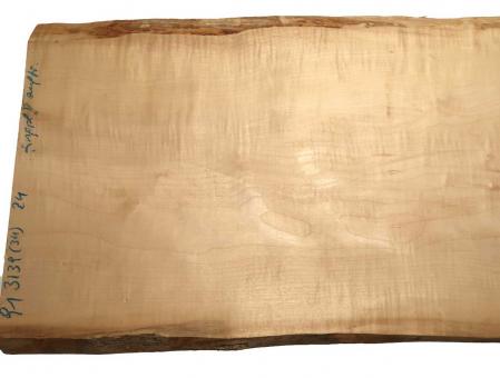 1x Ahorn Riegel Holz Riegelahorn B-Ware 91x31-39cm x 24mm 