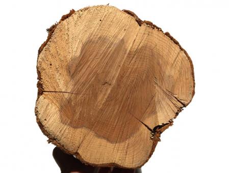 1x Eibenholz Stamm drechseln für Kleinteile 62x14-17cm 