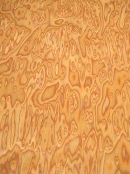 Kirsche Maser SaRaiFo Kirschbaum Furnier FEIN 250x32cm 