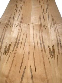 Ahorn Ambrosia Maple Furnier wild 3P 245x29cm 2 Blätter 