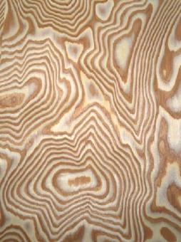 Esche Maser Furnier Wurzelholz SaRaiFo Holzfurnier 250x33cm 