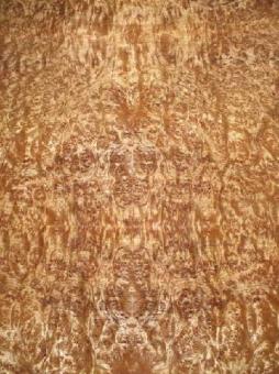 Golden Madrona Maser Furnier dünn mit Papier GM1 250x62/63cm 