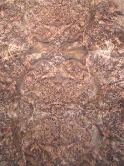 Nußbaum Wurzelholz dünnes Furnier mit Papier 250x62/63cm T1 