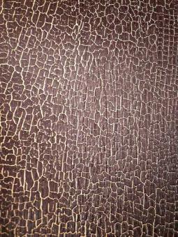 Black Oak Shou Sugi Ban Furnier Snakewood Schlangenholz 100x29cm 