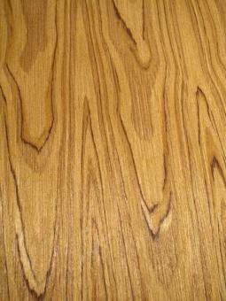 Teak Holz Furnier Teka Teck SaRaiFo wilde Blume 250x32cm 