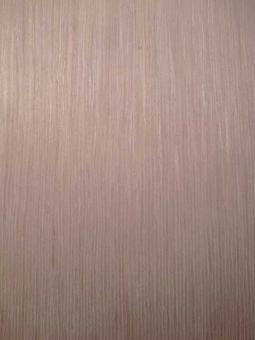 Birke Furnier Whitewood SaRaiFo 221x32cm 1 Blatt 