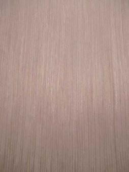 Birke Furnier Whitewood SaRaiFo 221x32cm 2 Blätter 