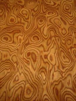 Kirschbaum gemasert Furnier Kirsche SaRaiFo Maser 250x64cm 