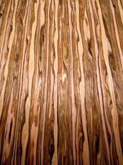 Apfelbaum Furnier SaRaiFo mit Vlies 250x63/64cm 1 Blatt 