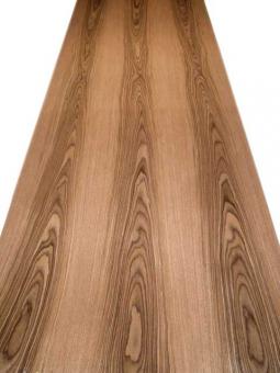 Nussbaum Blume Furnier mit Vlies SaRaiFo 250x31-32cm 