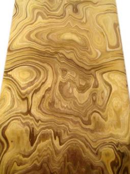 Olive Maser Furnier SaRaiFo 250x32cm 1 Blatt 
