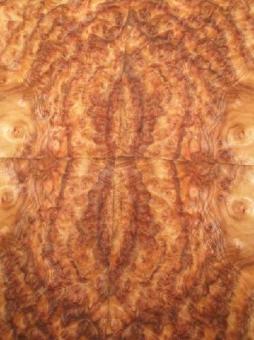 Kampher Wurzelholz Furnier Kampfer Maser B 49x37/40cm 4 Blatt 