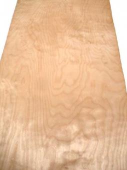 Birke Furnier Birken Schälfurnier Holz 4K 269x63/70cm 1 Blatt 