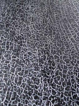 Shou Sugi Ban Furnier Snakewood Schlangenholz Black Snake 200x29cm 