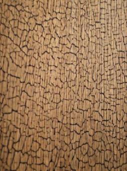 Golden Snake Shou Sugi Ban Furnier Snakewood Schlangenholz 2m 
