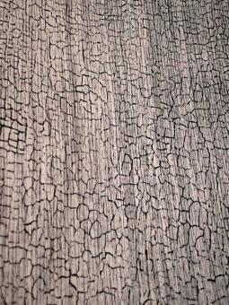 White Snake Shou Sugi Ban Furnier Snakewood Schlangenholz 200x29cm 