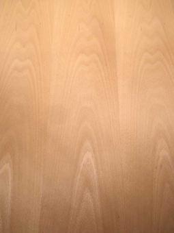 Buche Furnier Holz Buchenfurnier mit Vlies 250x30-33cm 