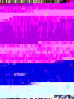 Makassar Furnier Ebenholz SaRaiFo Amara FEIN 250x37-38cm 