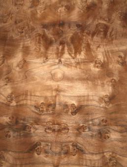 Nussbaum Wurzelholz Furnier Maser X 71x35cm 7 Blätter 