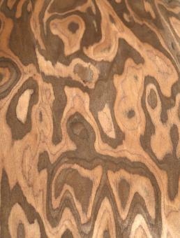 Palisander Wurzelholz Furnier SaRaiFo Maser 250x63-64cm 