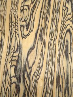 King Ebony Holz Ebenholz schwarz/weiß SaRaiFo 62x21,5-22x5cm 