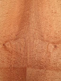 Mahagoni Pommele Furnier Quilted 197x13,5-14cm 3 Blatt 