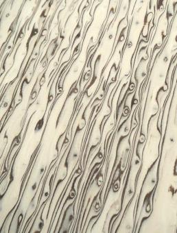 Maserbirke Holz Birke Maser SaRaiFo 62x21cm x 58-59mm 