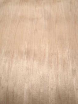Ahorn Furnier Maple Furnierholz mit Vlies 250x31cm 