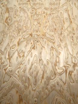 Eiche Wurzelholz Furnier Maser SaRaiFo 250x31-32cm x 0,5mm 
