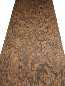 Claro Nussbaum Wurzelholz Furnier SaRaiFo 250x64cm x 0,5mm 
