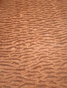 Muschel Furnier Pommele SaRaiFo Quilted Wood braun 250x33cm 