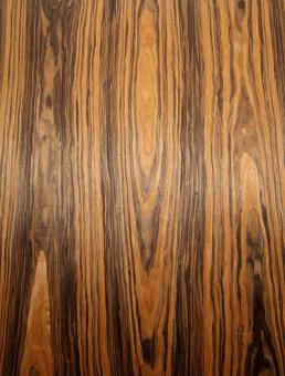 Santos Palisander Furnier Holz Morado SaRaiFo 250x32cm 