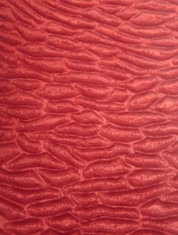 Muschel Furnier Pommele SaRaiFo Quilted Wood Rot 250x34cm 