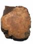morepic-1
