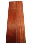 morepic-1