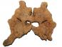 morepic-1